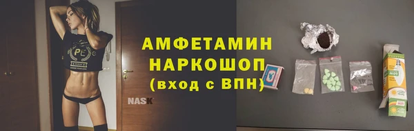 гидра Вяземский