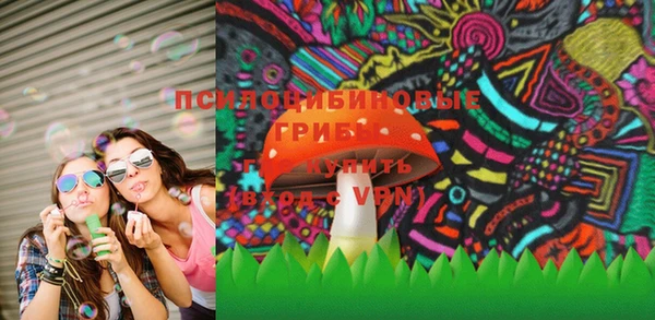 гашик Верхний Тагил