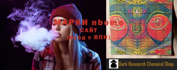 гидра Вяземский