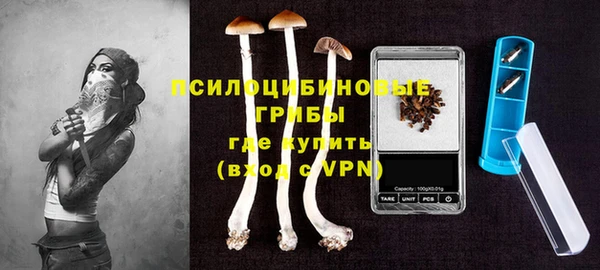 ешки Вязники