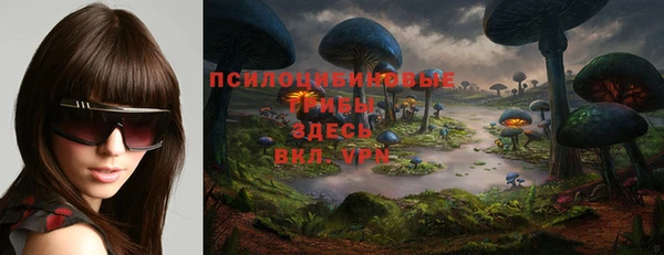гидра Вяземский